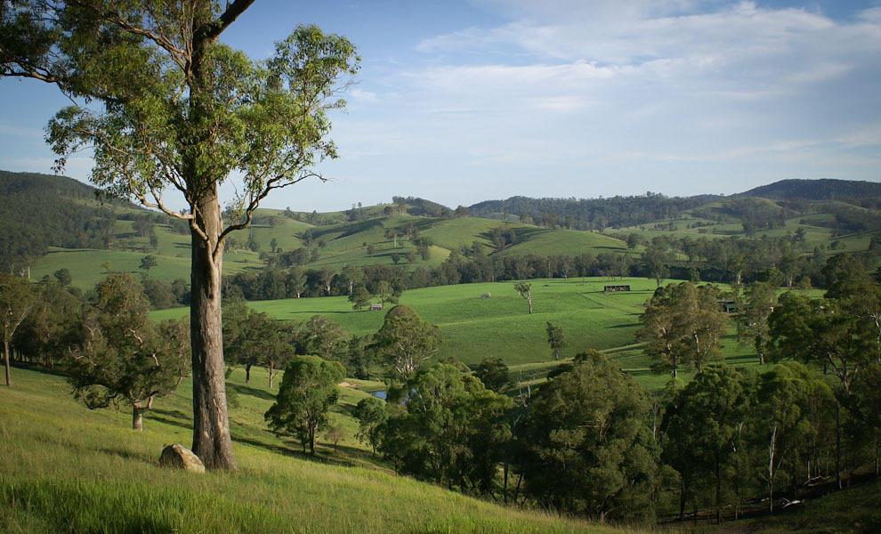 Riverwood Downs Of Barrington Tops Monkerai Exteriör bild